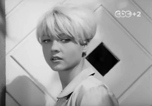 الزفاف في السويد والدول العربية هناك فرق