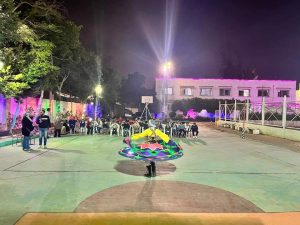 بالإنشاد الديني والتنورة والعروض الفنية ثقافة الجيزة تواصل ليالي رمضان 