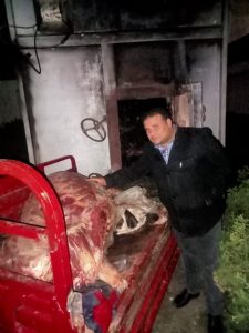 ضبط بقرة تزن 300 كجم مذبوحه ذبيحاً غير حيوي بعد النفوق بدمنهور