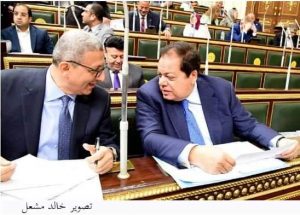 محمد أبو العينين بالنواب:مصر اختارت أن تكون دولة قوية وحققت معجزة 