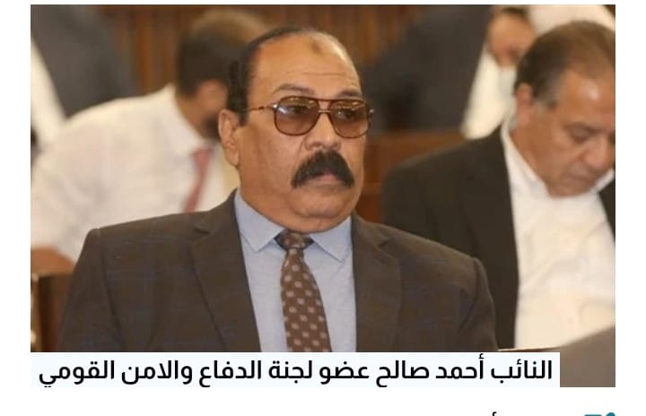 برلمانى: تعاون الأحزاب تنتج عنه رؤية حقيقية نحو خدمة الوطن والمواطنين