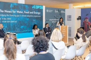 الصندوق الدولي للتنمية الزراعية «إيفاد» ينظم جلسة خاصة لاستعراض برنامج «نُوَفِّــي» كمنصة وطنية رائدة في سد فجوة تمويل المناخ 