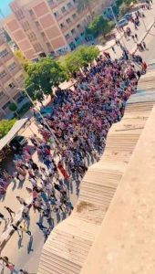 دعم للقضيه الفلسطينيه من طلاب جامعه المنيا 